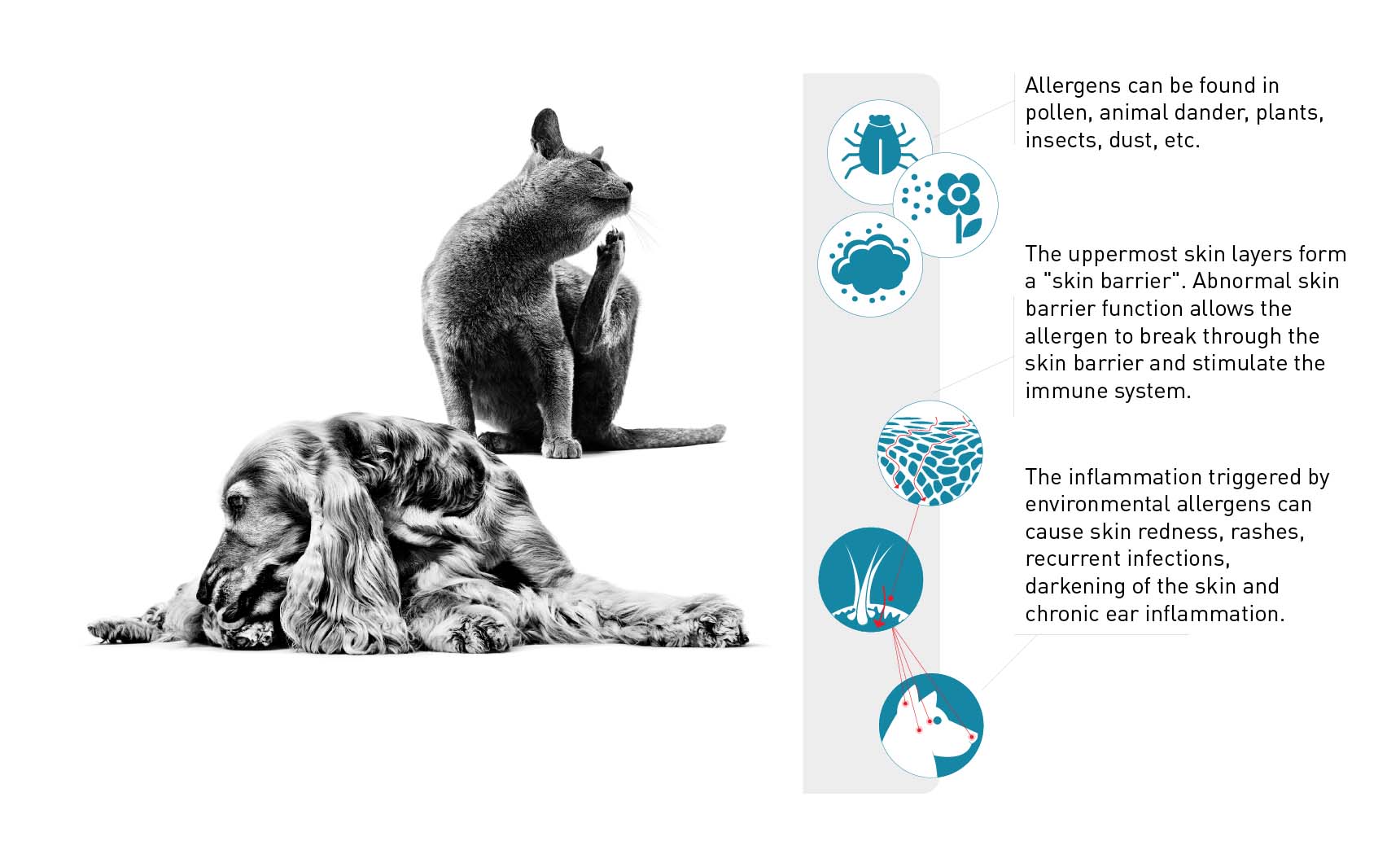 Environmental atopic dermatitis