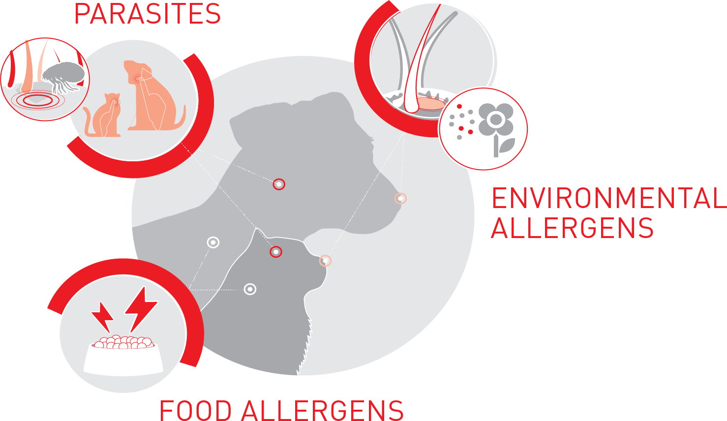 Parasites, food alergens, environmenal allergens
