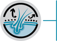 pictogram