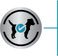 pictogram