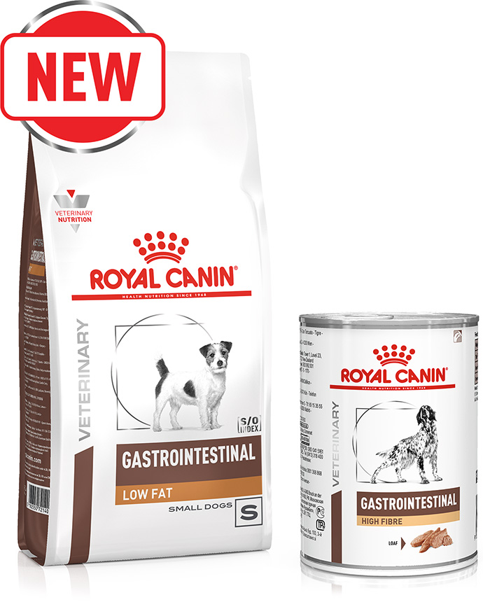 Gastrointestinal issues