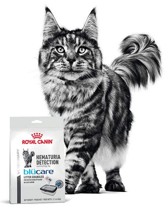 Royal canin deals cat litter