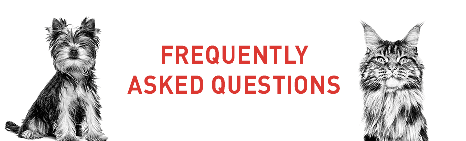 FREQUENTLY ASKED QUESTIONS