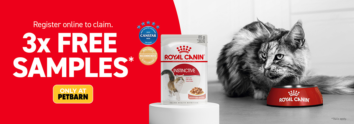 Royal Canin Kitten