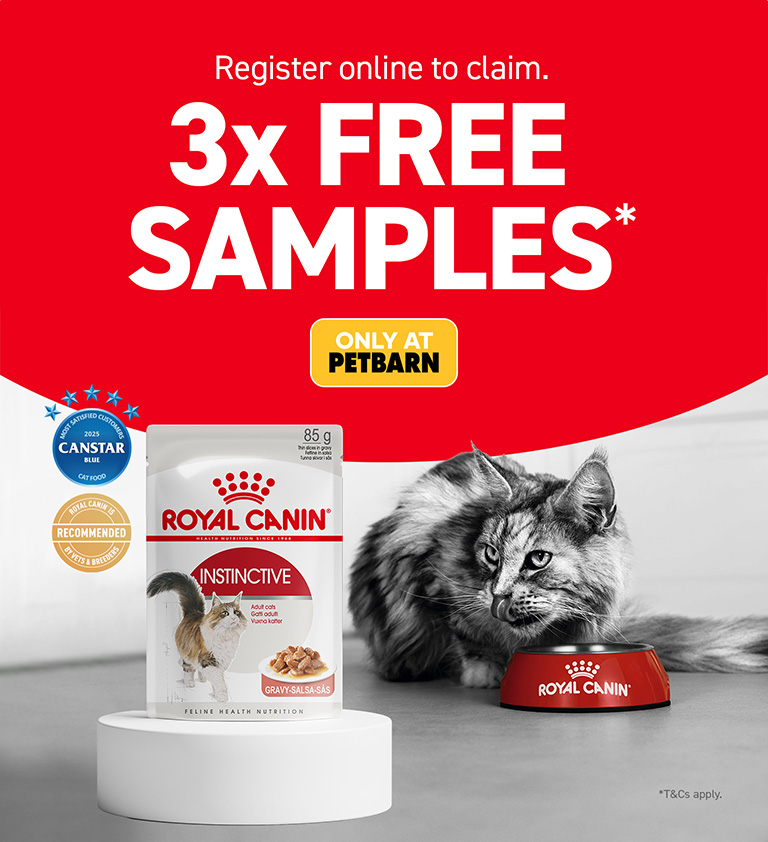 Royal Canin Kitten